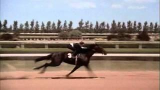 The Black Stallion Race Rescored Whit Return To Snowy River Music