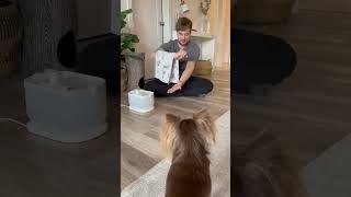 So happy I have my PETLIBRO wireless pump water fountain to keep me hydrated  #petlibropartner