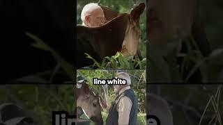 PM Modi Visits Vantara: World's Largest Animal Rescue Centre  | HindPrabhari