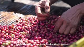 Leivas Coffee - From Our Home to Yours