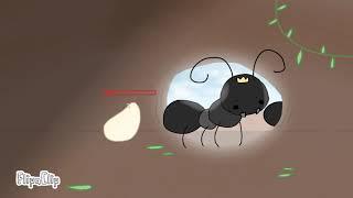 Ant life in Roblox