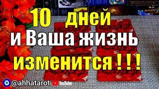 КАКИЕ СТРАНИЦЫ СУДЬБЫ ВАМ ОТКРОЮТСЯ В БЛИЖАЙШИЕ 10 ДНЕЙ? ️ Гадание Таро