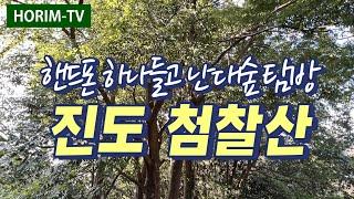 난대숲 탐방1 "진도 첨찰산", 숲 전문 HORIM-TV