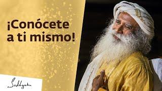 ¿Cómo encontrarte a ti mismo? | Sadhguru