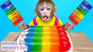 Monkey Rio make delicious Rainbow Jelly with ducklings in the swimming pool | Animal Monkey Rio