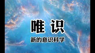 杨定一 《唯识：新的意识科学》 序  唯识 Consciousness-Only