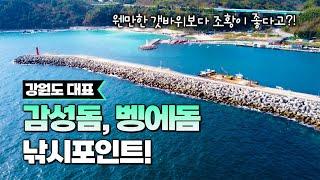 동해 임원항 낚시포인트 총정리! ( feat. 감성돔, 벵에돔, 도다리, 무늬오징어, 볼락, 고등어)