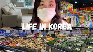 LIFE IN KOREA  KOREAN GROCERY STORE TOUR  + New Duker Sofa 듀커소파 