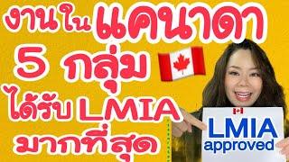 งานในแคนาดา 5 กลุ่มที่ได้รับอนุมัติ LMIA ในปี 2024 มากที่สุด มีงานฟาร์มด้วย ข้อมูลจาก ESDC  EP132