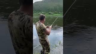 Рыбалка на спиннинг. Первый жерех товарища #рыбалка #fishing #жерех #спиннинг #спиннингист #лето