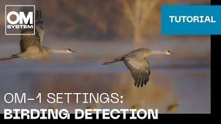 OM-1 & OM-1 Mark II Settings: Birding detection