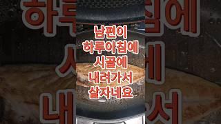 갑자기 시골에 내려가서 살자는 남편 #결혼 #부부 #이혼 #상담 #고민 #고부갈등