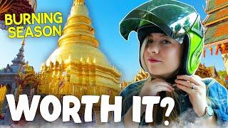 CHIANG MAI'S BEST DAY TRIP | Wat Doi Suthep and Tribe Village