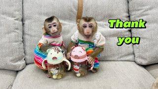 Monkey Family Diana and DiDi thank you for the gift from your Portuguese friend