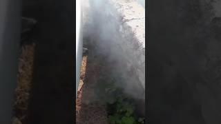 morning white smoke duster #viral #mechancial #viralshort #viralvideo #duster #car #automobile #tata