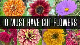 10 MUST HAVE Cut Flowers  || Growing Cut Flowers || Cutting Garden || Zone 8 || Flower Seeds