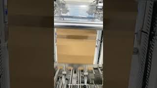 Automatic bag in box machine with bag edge folding function