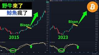 Bitcoin bulls are coming! BTC whales are going crazy! US election? Dogecoin? Altcoins?