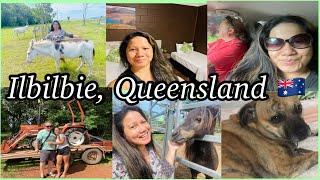 Our road trip to Ilbilbie, Queensland, Australia/ travelling with a pet // Cheche Lañojan