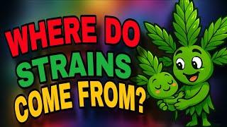 Quest For The Best: Cannabis Genetics Explained