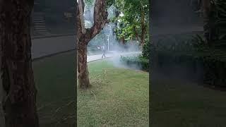 #EcoFriendlyFarming #ColdFogSprayer