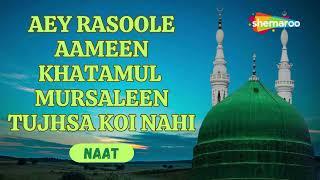 Aey Rasool E Ameen | Tujsa Koi Nahi  | Mohammad Shariq | Naat Shariff 2024 | Shemaroo Ibaadat