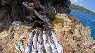 BIG !!! Barracudas Speared Today Action Pack Hunt Click & Enjoy Spearfishing Brothers Mention You