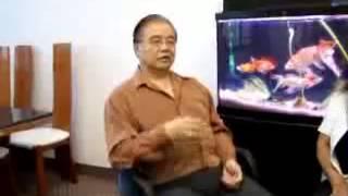 Interjú Joseph Yu mesterrel (Feng Shui Research Center)