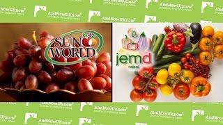 AndNowUKnow - Sunworld, JemD - Quick Dish