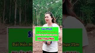 Siêu Phẩm Đất Nền Giá Rẻ, Đất Thổ Cư Giá Rẻ, Sổ Sẵn Dân Cư Hiện Hữu Mặt Tiền Đường Nhựa Lớn 32m.