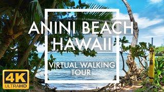 [4K] Anini Beach, Kauai Hawaii | Virtual Walking Tour | Relaxing Travel Simulator