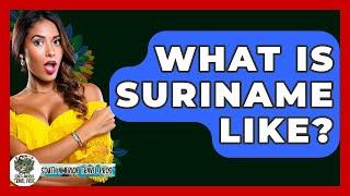 What Is Suriname Like? - South America Travel Pros