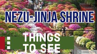 Nezu Shrine 根津神社 in Tokyo |Japan|