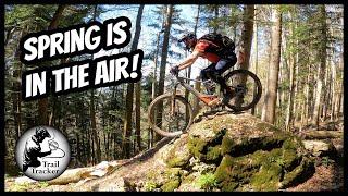 MTB Switzerland - Bogmen Supertrail (St Gallen)