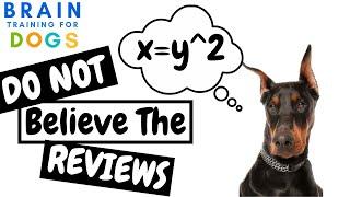 Brain Training For Dogs - DO NOT TRUST The Reviews