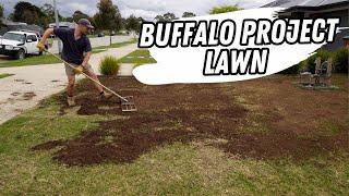 Buffalo project lawn FULL PREP, RENOVATION, RECOVERY