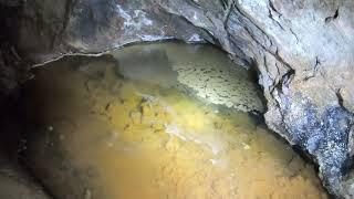 Cape Cornwall tin mine adit explore