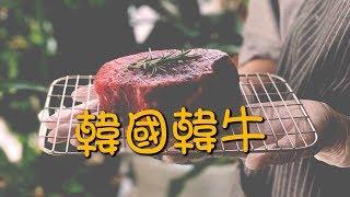 【韓風美食】大名鼎鼎的韓國韓牛 / 在家裏也可以輕易煎得到！