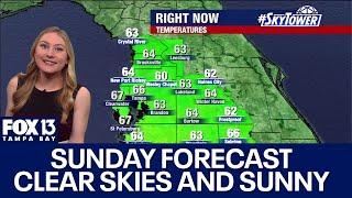 Tampa weather | Clear skies and sunny