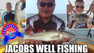 JACOBS WELL BOAT HIRE AND FISHING - PB WHITING