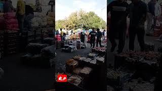 #میوه                                    میدان مرکزی میوه و تره بار