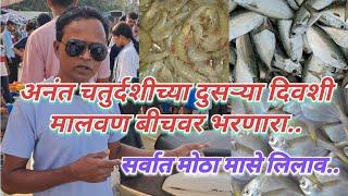 मालवणचा पापलेट लय भारी, मासे लिलाव, 45 किलोची वागळी #fish #fishcutting #kokan #pomfretfish #seafish