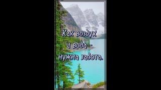 Как воздух и вода - нужна забота.  Стих со смыслом Жизненная поэзия  Потрясающий стих. #shorts