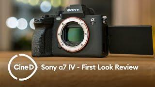 Sony a7IV CineD Review – a Pretty Advanced "Entry-Level" Mirrorless Camera