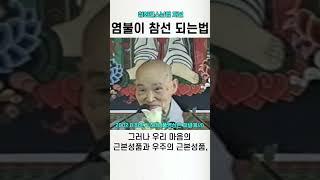 염불이 참선이 되는 염불참선 #청화스님