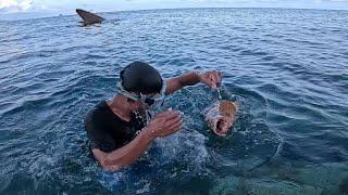 HUNTED ISLAND NA PUNO NG MABABANGIS AT MALALAKING ISDA | Bryan Fishing Tv