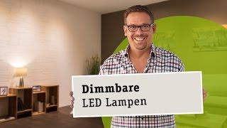 Dimmbare LED Lampen - die richtige Wahl von Leuchtmittel, Trafo und Dimmer