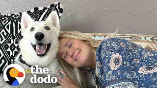 Anna Camp Goes On A Dodo Dream Date | The Dodo