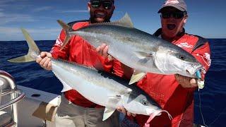 Gulp 9" Jerkshad: Hunt the biggest fish that swim!