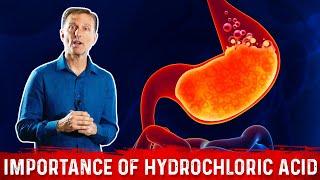 The Importance of Hydrochloric acid (HCL) in the Stomach – Dr. Berg